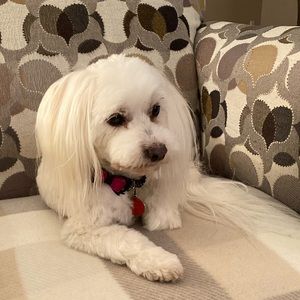 Meet your Posher, Joanne